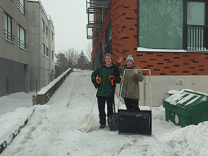 Tööampser lumekoristus